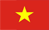 dong wietnamski